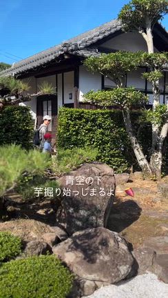 とってもいい天気でした。の記事動画