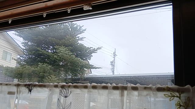 私ノート&寒天ゼリー【桐の花のブログ4863】の記事動画