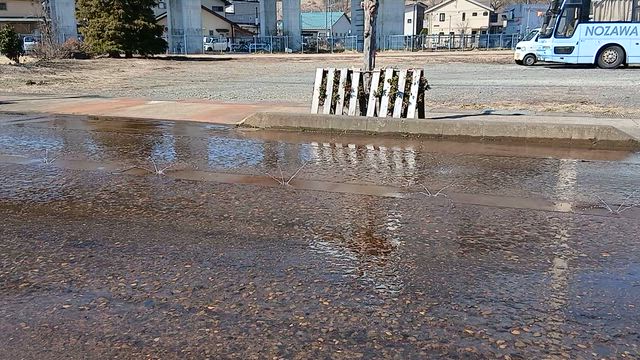 ６０年ぶりの揚げそば【桐の花のブログ4868】の記事動画