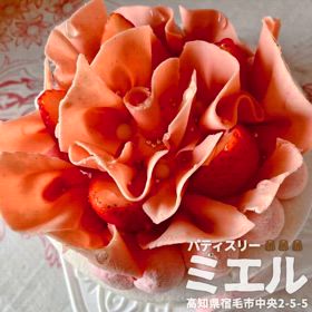 2025/05/10の画像