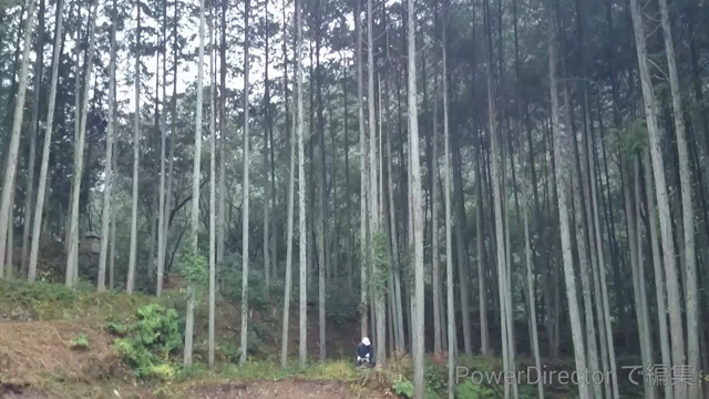 山で生きる(自然の中のDIY)の記事動画