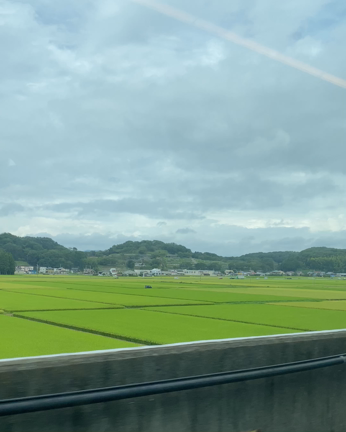 嬉しい反響と車窓からの記事動画