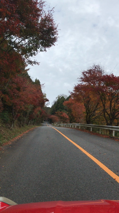 もみじ街道☆の記事動画