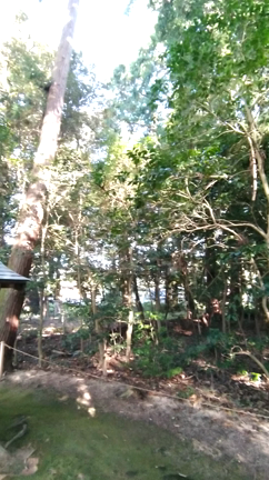 大宮賣神社の記事動画