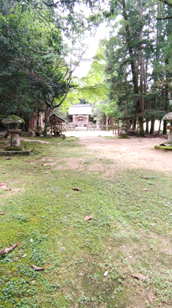 藤社神社の記事動画