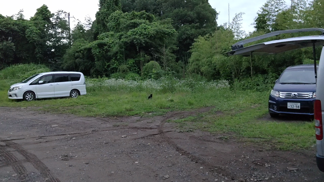 甲斐犬　虎徹　三兎追う者は一兎も得ず？の記事動画