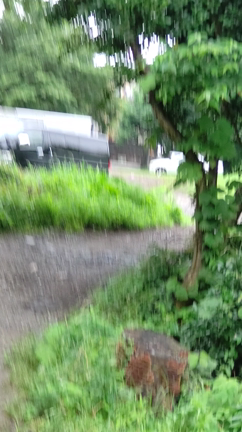 甲斐犬　虎徹　三兎追う者は一兎も得ず？の記事動画