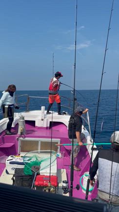 石花海イサキ、ヒメダイ五目、キャスティングの記事動画