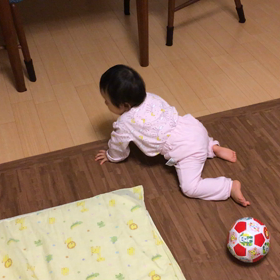 ハイハイが始まったの画像