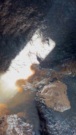 ありちゃんファンの皆様またまたお久しぶりデーシッ‼️の記事動画