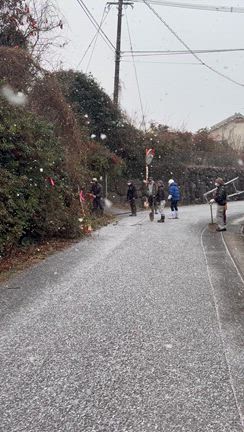 泳がせ釣りは何回やってんオモローデーシッ*\(^o^)/*の記事動画