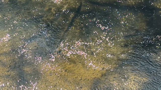 今年はちょっとだけの記事動画