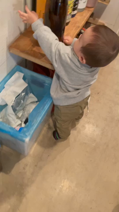 一歳の誕生日の記事動画