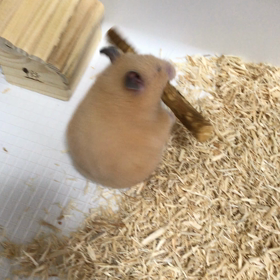 冬支度の画像