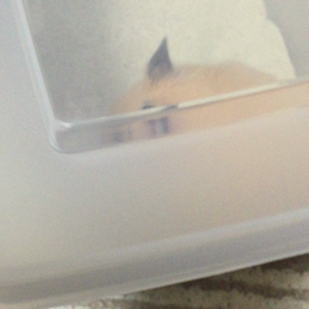 こまちのおもちゃの画像
