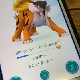 ライコウ運が無いアカウントの画像