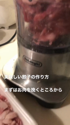 美味しい餃子の作り方① 春は春菊いれちょい足し薬膳の記事動画