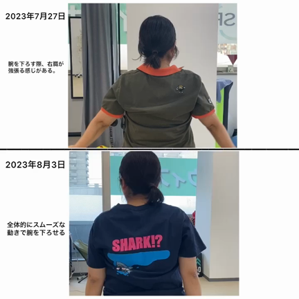 肩の痛みをなくしたい。。。の記事動画