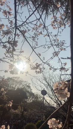 4コマ漫画始めましたの記事動画