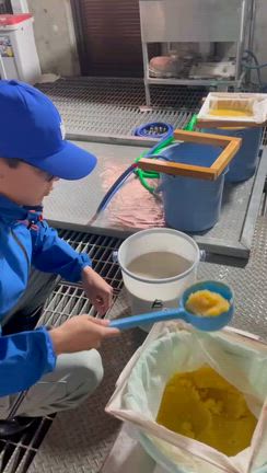 シーン❗️やまぐっち釣果報告の記事動画