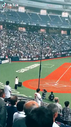 今年はの記事動画