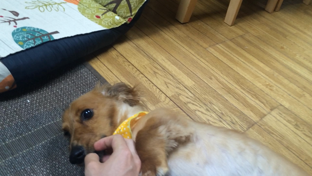 神秘的だったなんての記事動画