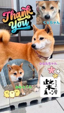 お泊まりのお友だちの記事動画