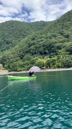 ヘラブナ釣果の記事動画
