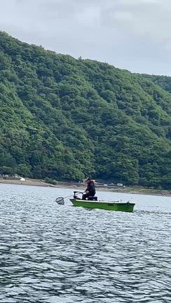ブラックバス、ヘラブナ釣果の記事動画
