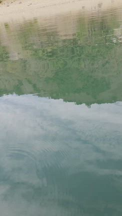 ワカサギ、ヒメマス、ブラックバス釣果の記事動画