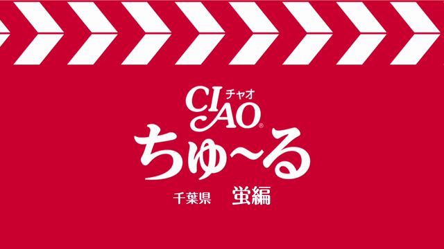 CMデビューの記事動画