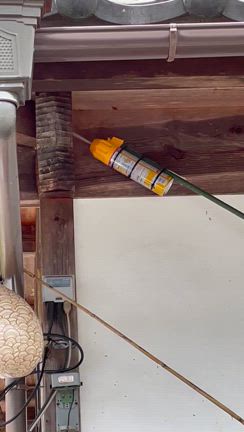 やばい！蜂が屋根に飛び交って、巣を作ってるー！の記事動画