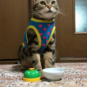 今日のYAMATO...上手に鳴らせます！！の画像