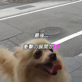 2026/06/07の画像