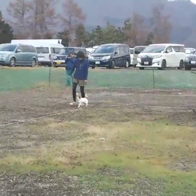 北陸甲信越ブロック 家庭犬訓練試験 CD1編の画像