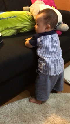 9m16d  つかまり立ちが大好き♡の記事動画