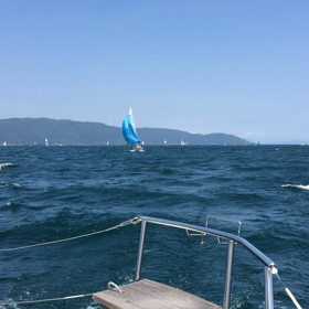 ごぼう抜きの画像