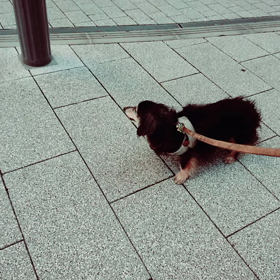 油断してないんだけどねの画像