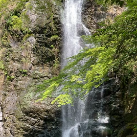 箕面の滝に行ってきましたの画像