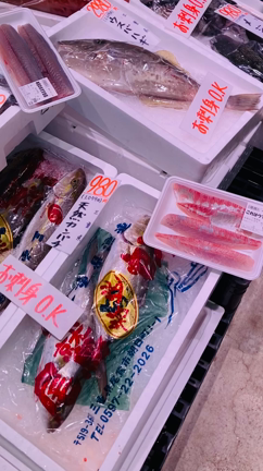まるかつ市場本店魚売場の記事動画