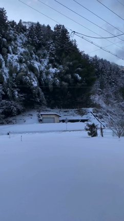 アセンションとは純粋性への目覚めの記事動画