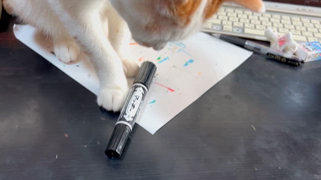 毛色が似てました。の記事動画