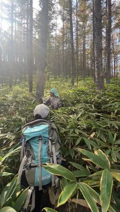 キリフリ自然塾　日曜日　「山」　終了の記事動画