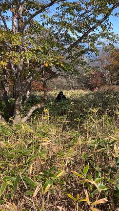 ついに地獄ルート脱出の記事動画