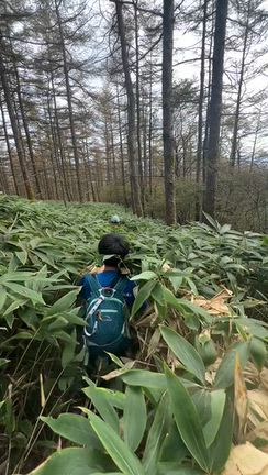 下りも薮壁の記事動画