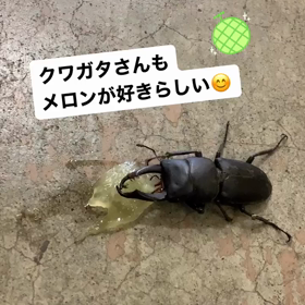 2023/06/22の画像