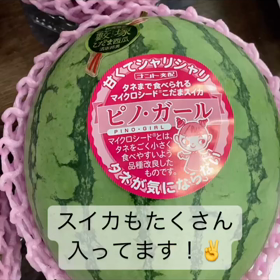 2023/07/19の画像