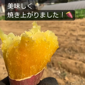 2023/11/05の画像