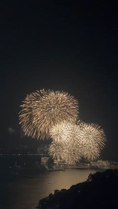 お蕎麦と熱海海上花火大会の記事動画