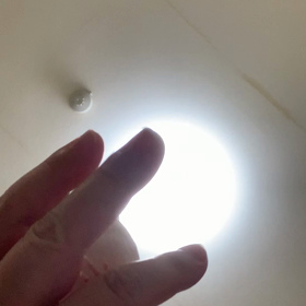 下からの画像